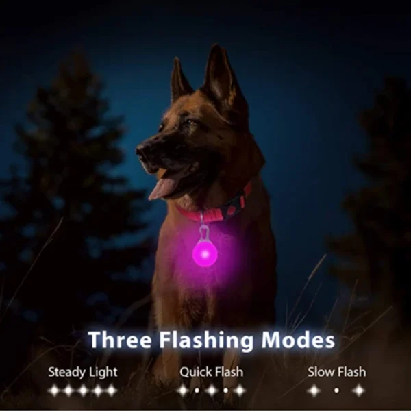 Usb Charging Glowing Dog Collar With Pendant Detachable Luxury Led Light Bright For Small Dogs Cat Night Safety Collar Wholesale - Image 3