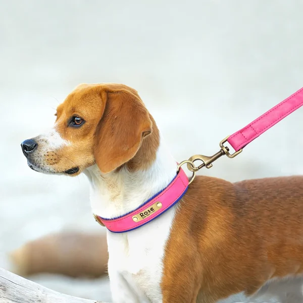 Customized Leather Dog Collar Leash Set Soft Padded Leather Collar For Small Medium Large Dogs With Free Engraved Nameplate - Image 3