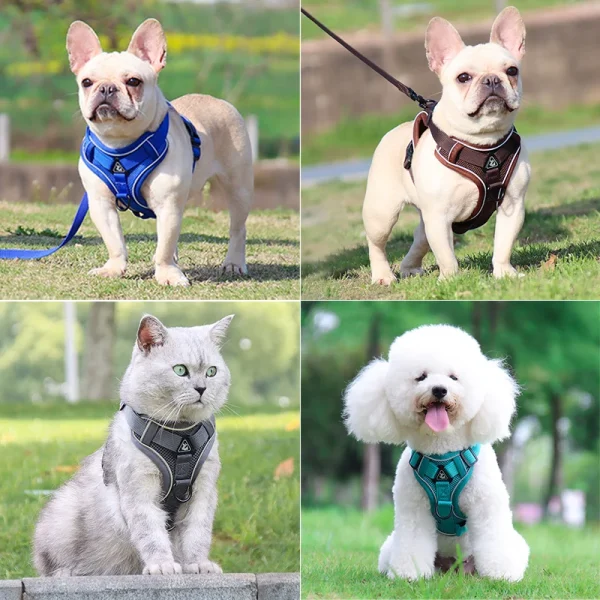 Dog Harness Leash Set Adjustable Pet Chest Strap For Small Medium Dogs Cats Reflective Puppy Harness Vest French-Bulldog York - Image 4