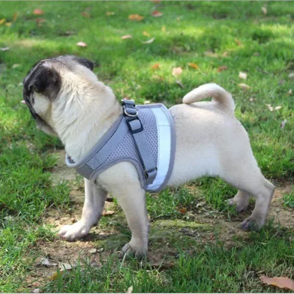 Vest Harness Leash Adjustable Mesh Vest Dog Harness Collar Chest Strap Leash Harnesses With Traction Rope XS/S/M/L/XL - Image 4