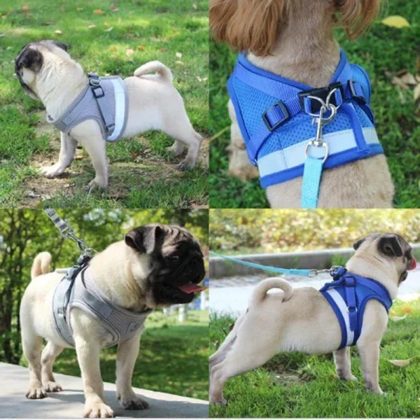 Vest Harness Leash Adjustable Mesh Vest Dog Harness Collar Chest Strap Leash Harnesses With Traction Rope XS/S/M/L/XL - Image 5