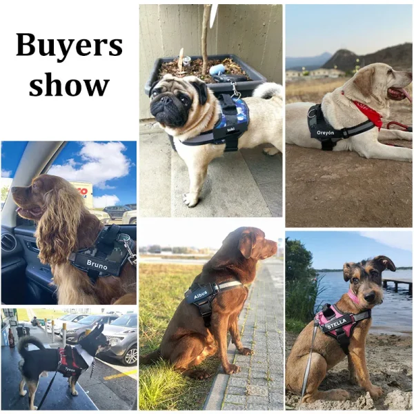 Personalized Dog Harness NO PULL Reflective Breathable Pet Harness Vest For Small Large Dog outdoor Walk Training Accessories - Image 5