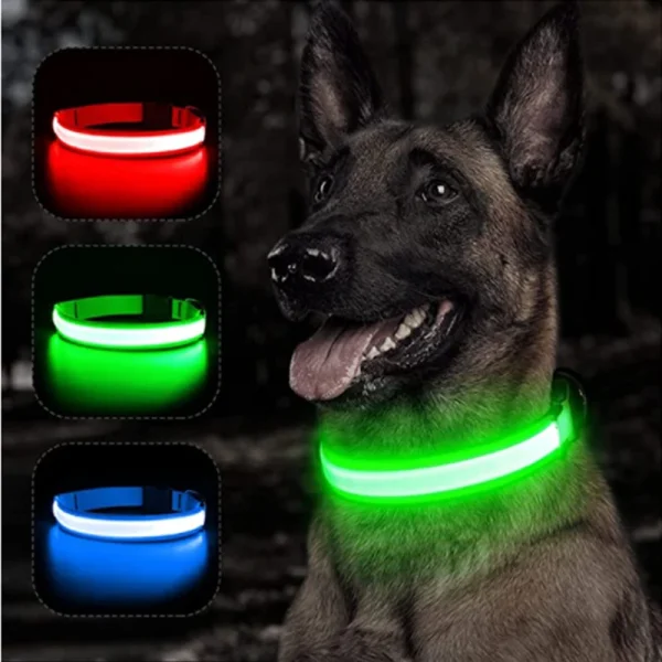 Usb Charging Glowing Dog Collar With Pendant Detachable Luxury Led Light Bright For Small Dogs Cat Night Safety Collar Wholesale - Image 2
