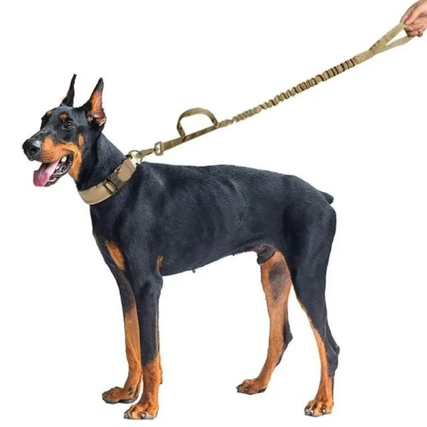 Tactical Dog Collar Military Adjustable Duarable Nylon Lead For Medium Large Walking Training Pet Accessory Breakaway Leash Rope - Image 2