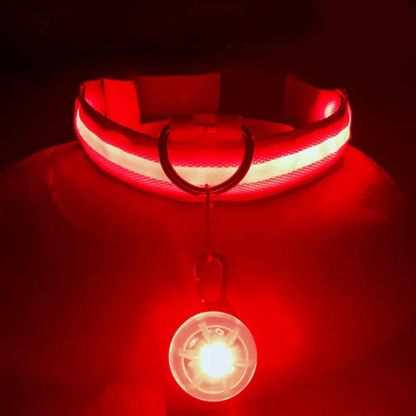 Usb Charging Glowing Dog Collar With Pendant Detachable Luxury Led Light Bright For Small Dogs Cat Night Safety Collar Wholesale - Image 5