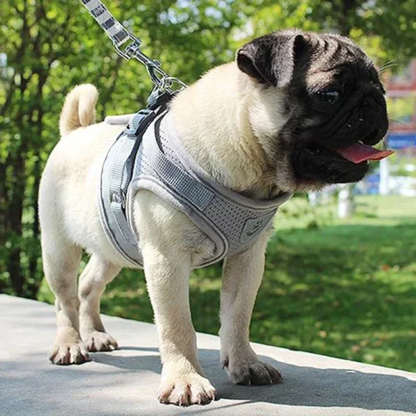 Vest Harness Leash Adjustable Mesh Vest Dog Harness Collar Chest Strap Leash Harnesses With Traction Rope XS/S/M/L/XL - Image 3