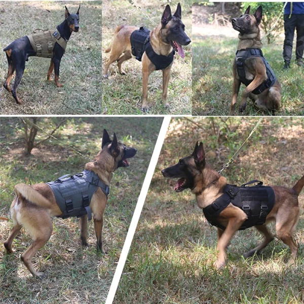 K9 Tactical Military Vest Pet German Shepherd Golden Retriever Tactical  Training Dog Harness and Leash Set For All Breeds Dogs - Image 5