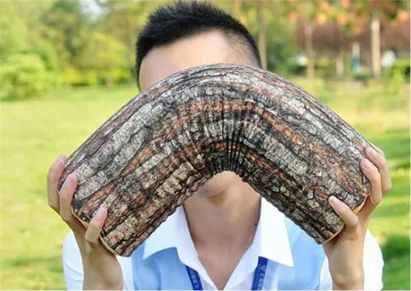 1 Piece Stump Shaped Decorative Pillows Home Car Decor Cute Woods Grain Soft Chair Seat Cushion Pillow - Image 2